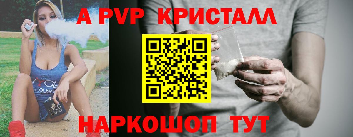 Alfa_PVP СК КРИС Кириши