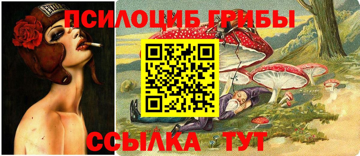 Псилоцибиновые грибы мухоморы  Вход с VPN  Псилоцибиновые грибы Magic Shrooms  Кириши 